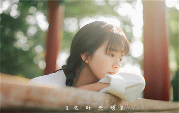 洛宁胎儿性别鉴定需要多少钱(胎儿性别鉴定的方法)
