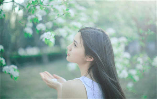 洛宁验血查男女几周可以验(验血查男女结果图)